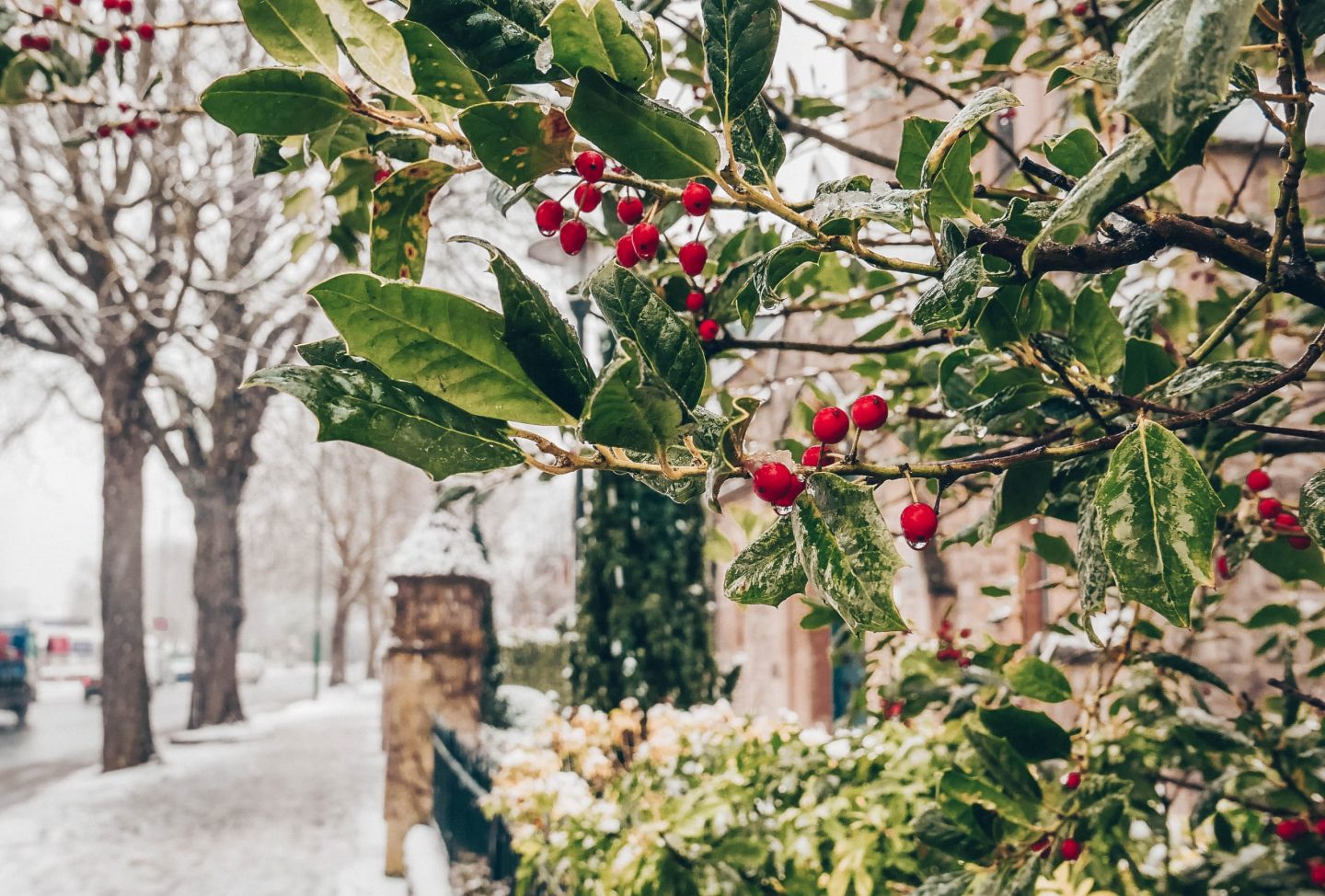 Snow in London