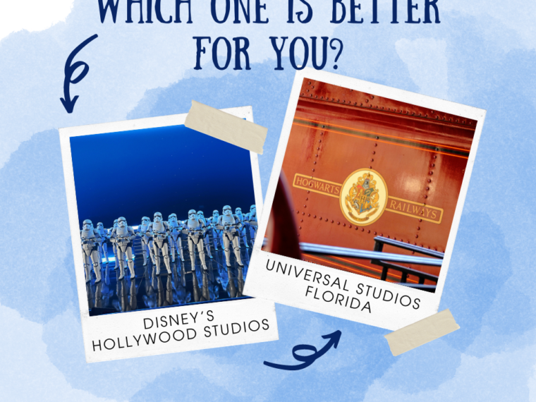 Which One Is Better for You?