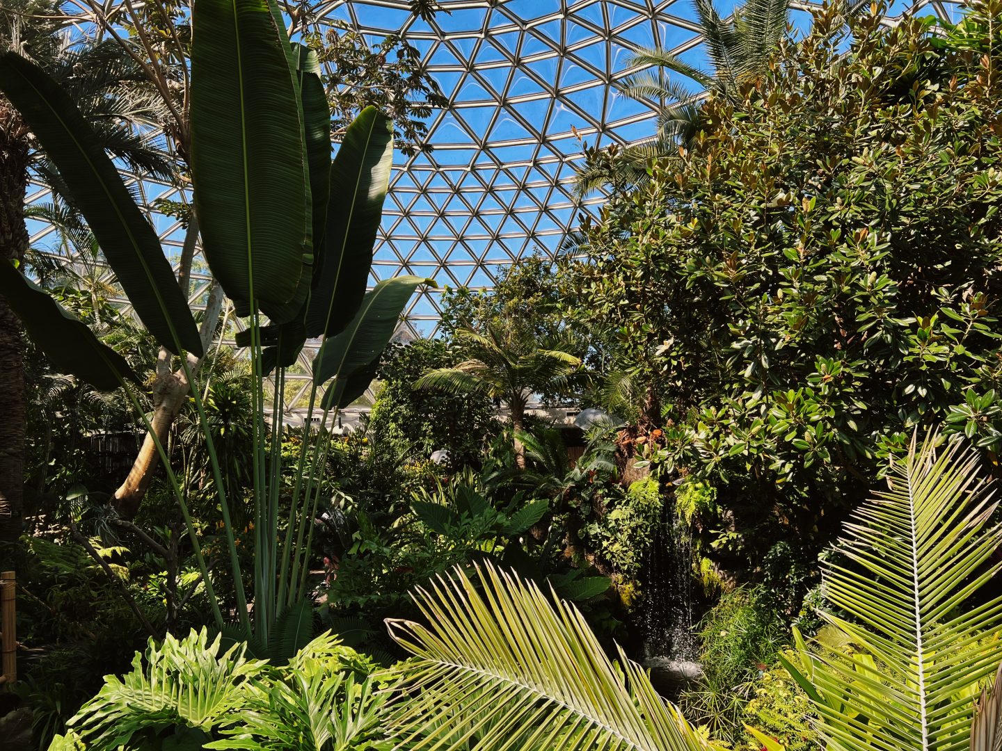 Bloedel Conservatory
