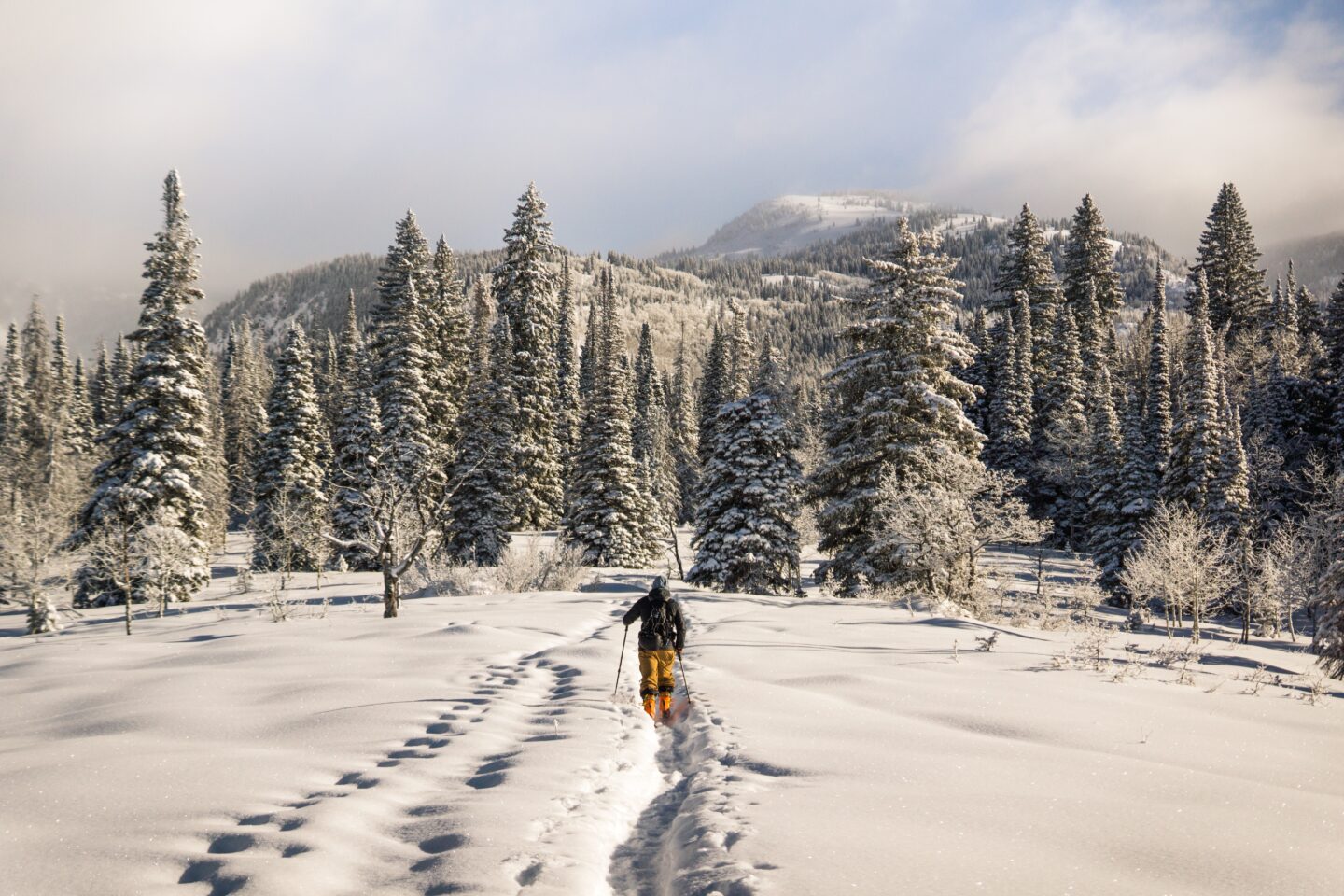 Steamboat Springs, Colorado