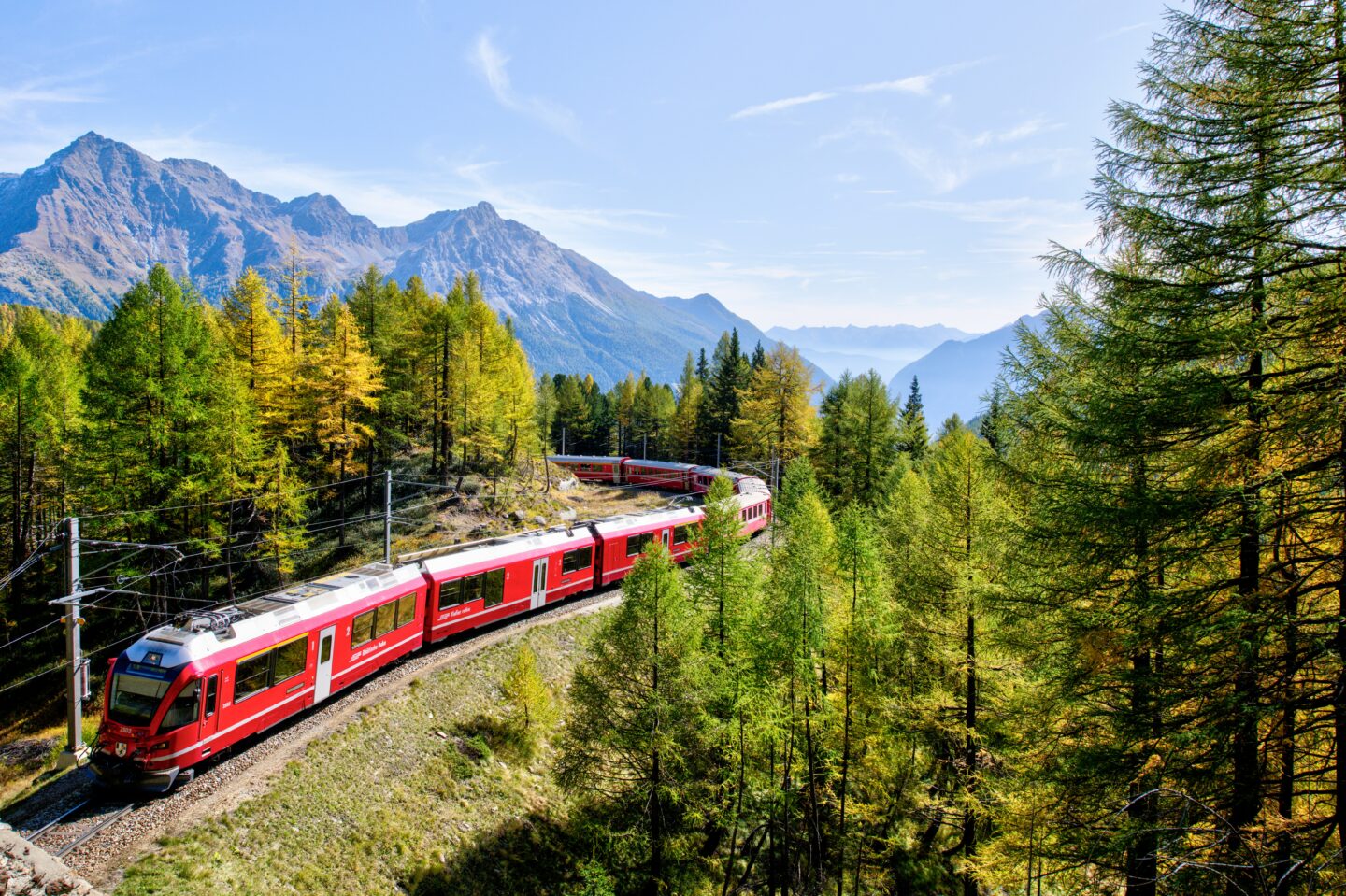 A Swiss train travelling through the forest