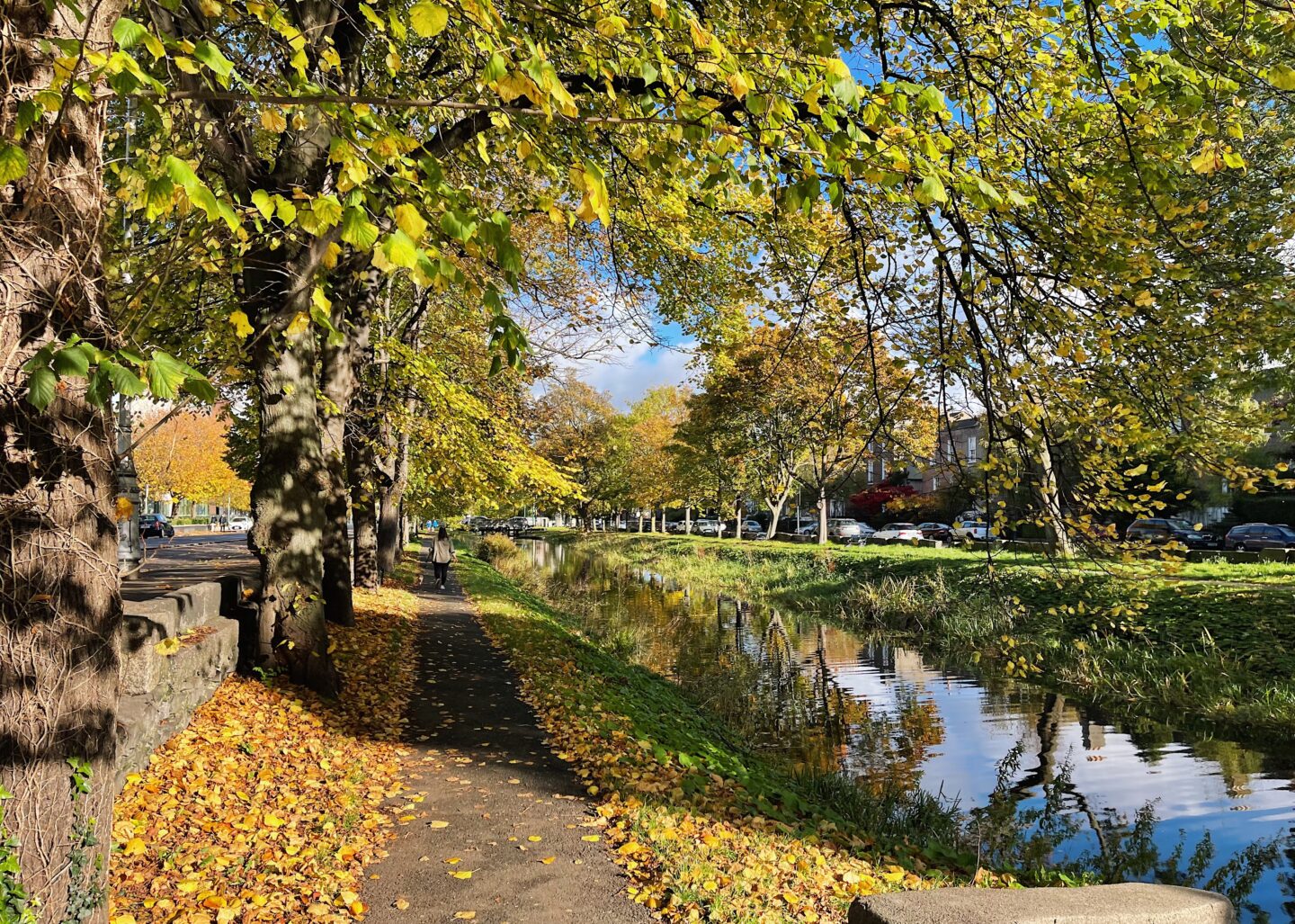 A vibrant daytime view of Dublin's Grand Canal