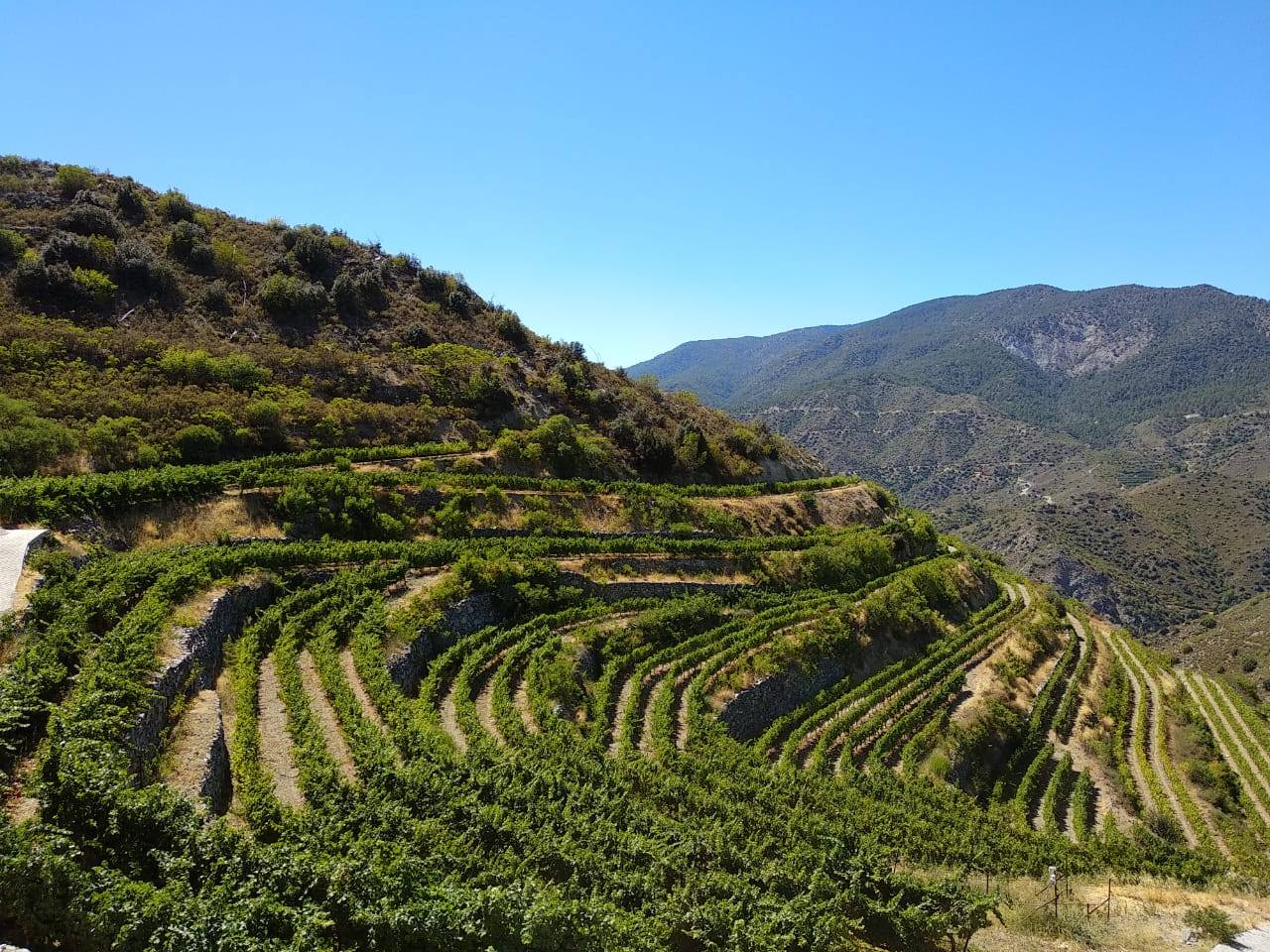 Tsiakas Winery in Commandaria Region, Cyprus