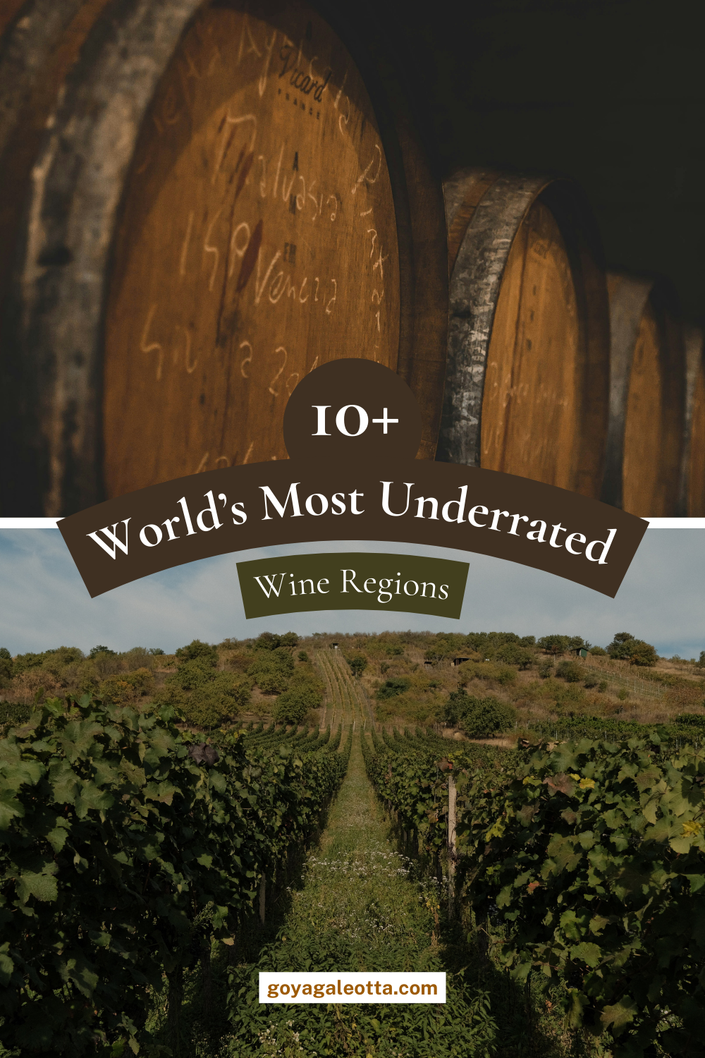 Pin for World's Most Underrated Wine Regions