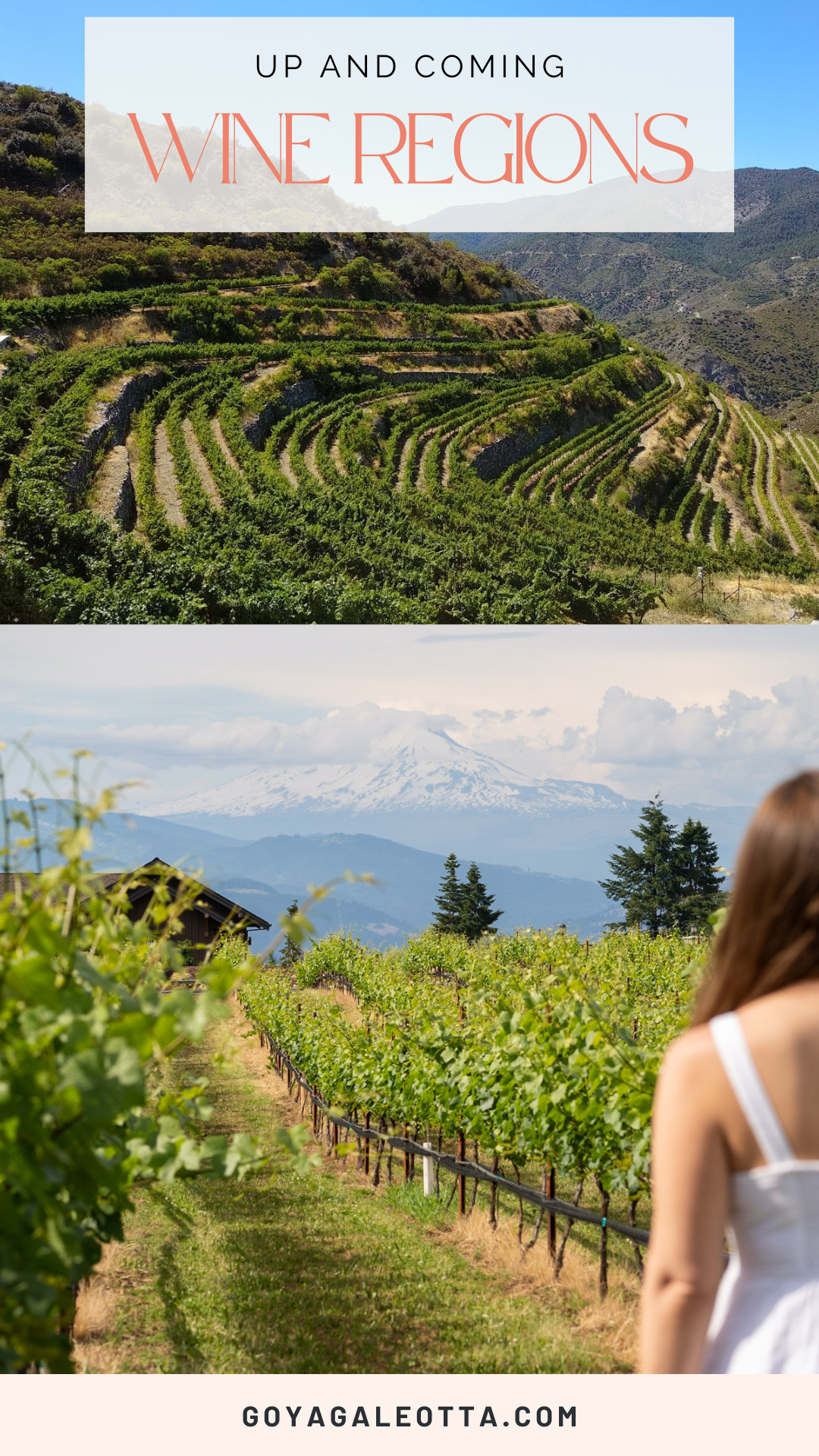 Pin for Up and Coming Wine Regions