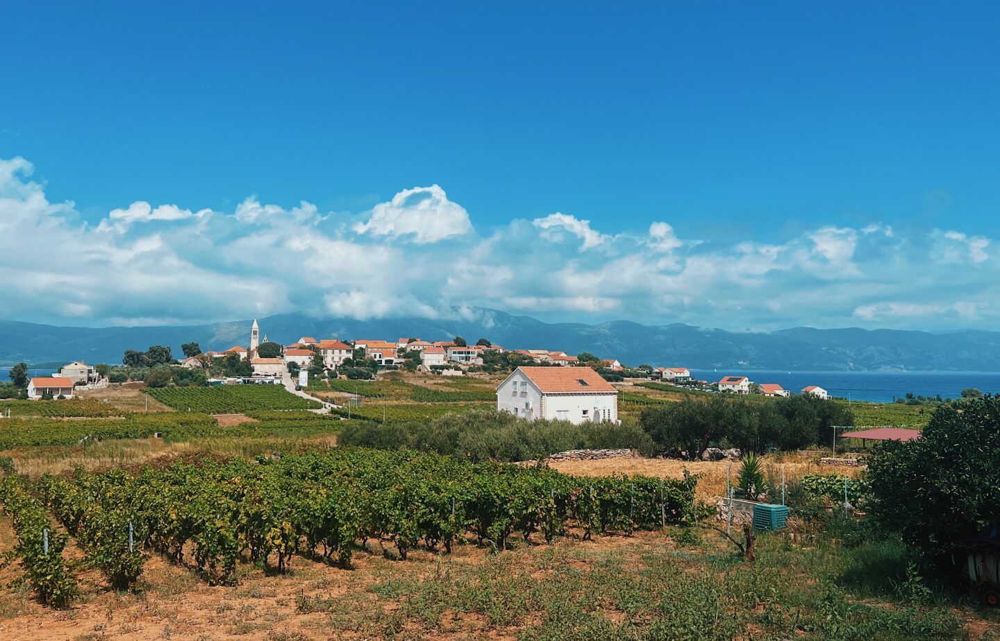 Views from Popic, Lumbarda in Croatia