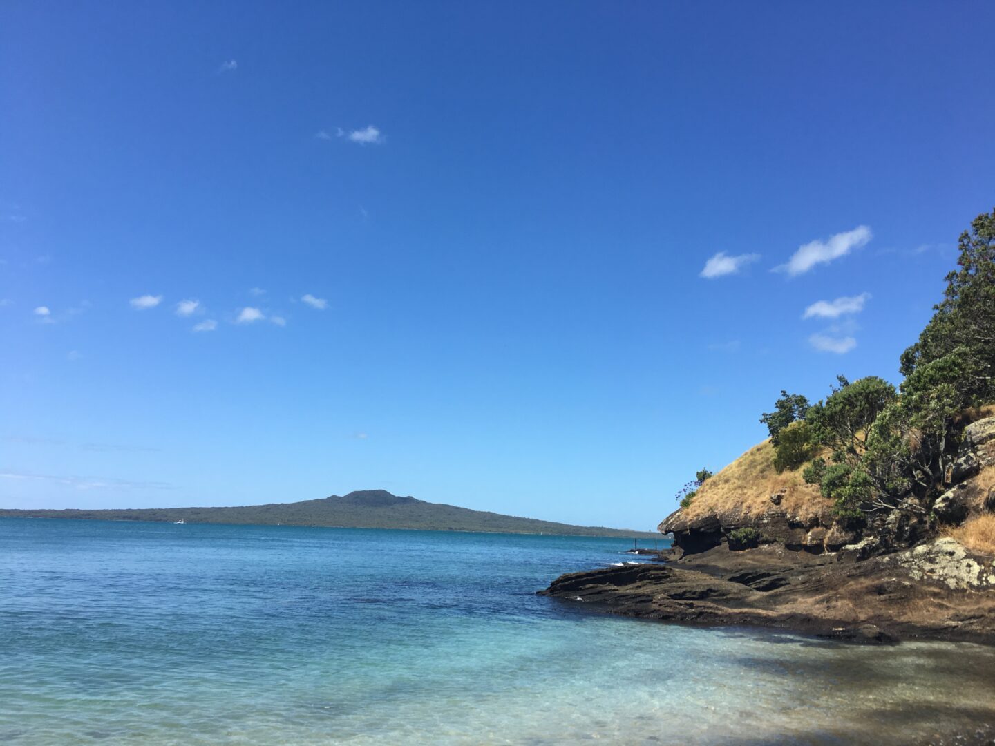 A serene beach in New Zealand with clear blue waters and a distant view of an island, set against a bright blue sky with a few scattered clouds, evoking a calm and tropical vibe.